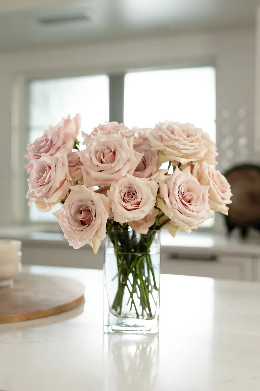 Super Rare Quicksand Rose Cuttings – Rosa ‘Quicksand’ Nude Beige Wedding Rose Unrooted Propagation Set of 3