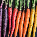 Rainbow Mix Carrot Seeds - Daucus carota - Purple, Red, Yellow, Orange Blend, Vegetable Seeds, Garden, 2025 Planting