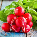 Champion Radish Seeds, Red German Giant Cherry Belle Daikon, Raphanus sativus, Organic Non-GMO, Fast-Growing, Salad Radishes, 2025 Pack