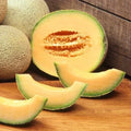 Cantaloupe Seeds - Edisto 47 Heirloom Non-GMO Cucumis melo - Sweet, Juicy Melon for Home Gardening
