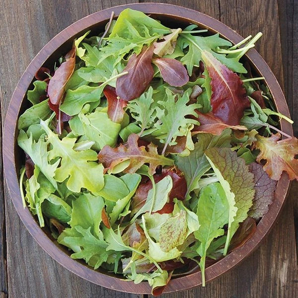 Mesclun Mix Lettuce Seeds - 1000+ Non-GMO Heirloom Lettuce Seeds Lactuca sativa for Salad Greens & Home Garden