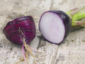 Purple Plum Radish Seeds - Heirloom Organic Non-GMO, 50+ Seeds, Raphanus sativus, Fast-Growing, Salad & Garnish