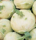Kohlrabi Seeds White Vienna – Brassica oleracea Vegetable, 300+ Pack for Home Garden, Edible Bulb, Easy to Grow