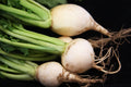White Egg Turnip Seeds - Brassica rapa - Fresh Planting Seeds for Home Garden, Salad & Cooking