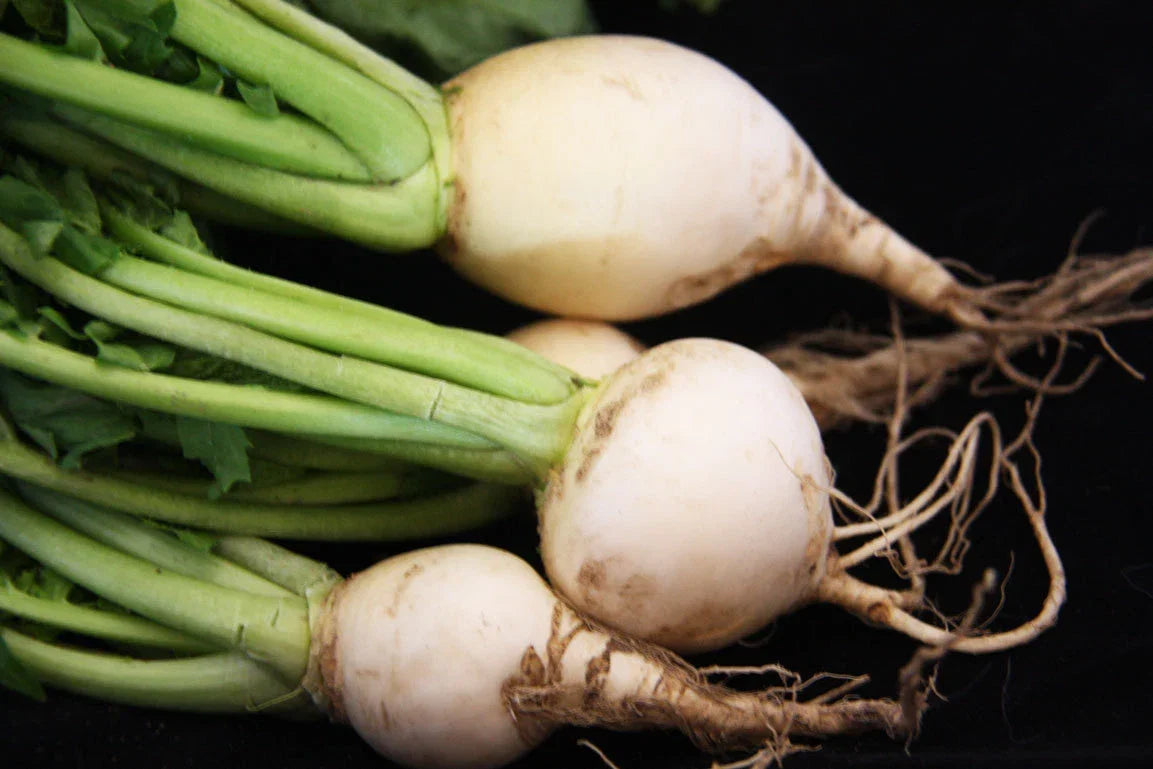 White Egg Turnip Seeds - Brassica rapa - Fresh Planting Seeds for Home Garden, Salad & Cooking