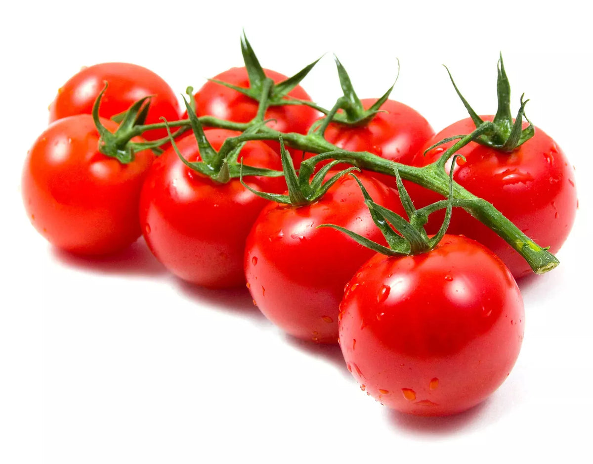 Cherry Tomato Seeds - Large Heirloom Solanum lycopersicum, Juicy, Sweet, Bountiful Harvest, Non-GMO, for Container & Garden