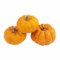 Jack Be Little Pumpkin Seeds - Heirloom Cucurbita pepo for Small Garden & Fall Decor, 25+ Seeds, USA Grown