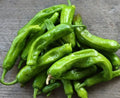 Sweet Japanese Shishito Pepper Seeds - 25 Non-GMO Heirloom Capsicum annuum for Container & Garden Growing