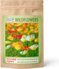 Iceland Poppy Seeds - Non-GMO 34,700 Count - Vibrant Papaver Nudicaule Pollinator Plants for Gardens