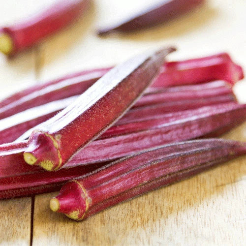 Red Burgundy Okra Seeds 50 Ct - Non-GMO Vegetable Garden Seeds Abelmoschus esculentus for Home & Container Gardening