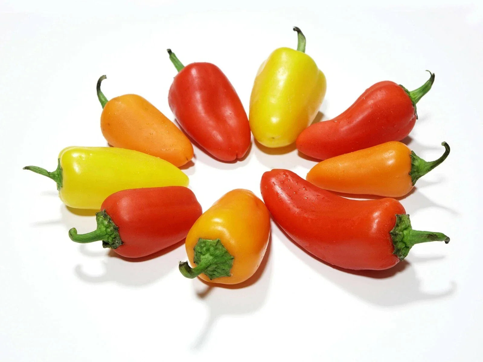 Santa Fe Grande Hot Pepper Seeds - Heirloom Capsicum annuum for Spicy Flavor, Bright Yellow-Orange Peppers, 20 Seeds