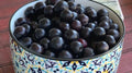Sand Cherry Seeds - 10+ Pack, Prunus besseyi, Deciduous Shrub for Garden Planting, Edible Fruits, USA Grown
