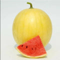 Heirloom Watermelon Seeds - 20PCS Huang Pi Qiu Yellow Skin Red Seedless Citrullus lanatus for Garden, Summer, Juicy, Sweet Fruit