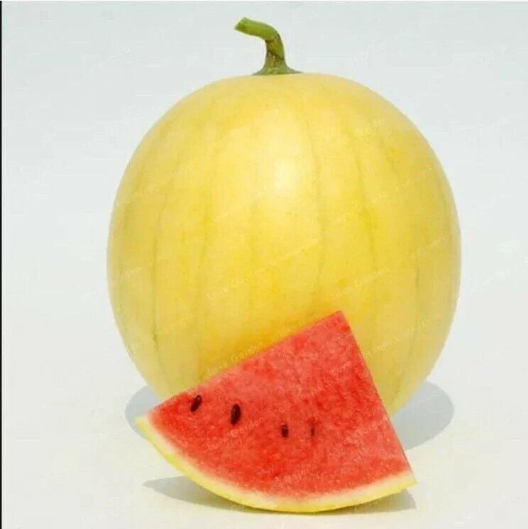 Heirloom Watermelon Seeds - 20PCS Huang Pi Qiu Yellow Skin Red Seedless Citrullus lanatus for Garden, Summer, Juicy, Sweet Fruit