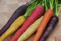 Rainbow Blend Carrot Seeds - 200 Non-GMO Daucus carota, Colorful, Antioxidant-Rich, Edible Root Vegetable, Full Sun, Well-Drained Soil