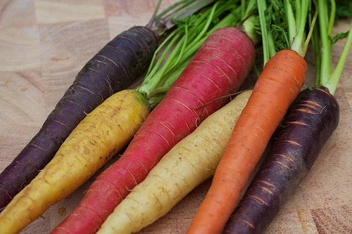 Rainbow Blend Carrot Seeds - 200 Non-GMO Daucus carota, Colorful, Antioxidant-Rich, Edible Root Vegetable, Full Sun, Well-Drained Soil