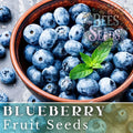 Blueberry Seeds Bulk Pack - Vaccinium corymbosum, Non-GMO Fruit Seeds for Home Garden, Container, or Large Planting