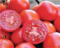 Siberian Tomato Seeds, Organic Heirloom, Non-GMO, Solanum lycopersicum, Juicy, Full Sun, Home Garden, 10+ Seeds