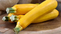 Easy Pick Gold II Zucchini Seeds – Non-GMO, Heirloom, Cucurbita pepo, 25+ Pack for Organic Gardening