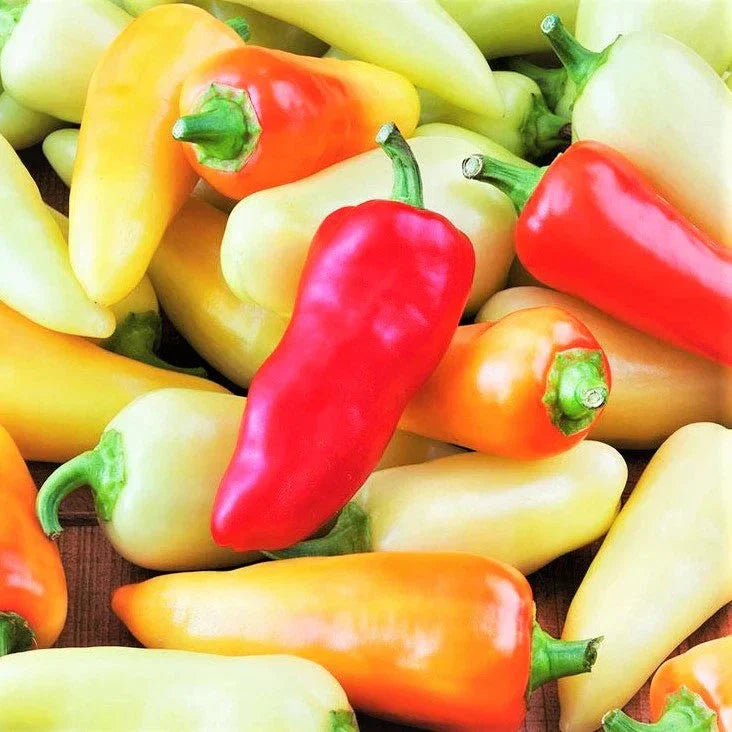 Santa Fe Grande Pepper Seeds - 100+ Count, Medium Heat, 700 Scoville Units, Capsicum annuum, Garden, Salsas, Hot Peppers