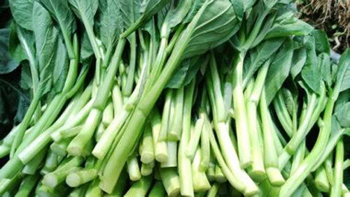 Asian Yu Choy Seeds - 200+ Brassica rapa Subsp. chinensis Vegetable Seeds for Home Garden, Chinese Flowering Cabbage, Edible Greens