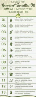 Wild Bergamot Seeds - 300 Bee Balm Monarda fistulosa Perennial Herb for Pollinator Gardens