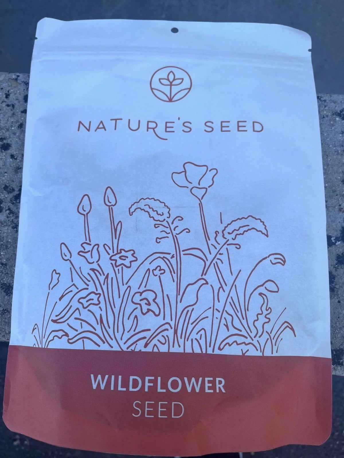 Northeast Wild Flower Seeds 0.5 lbs - Native Wildflower Mix for Pollinators