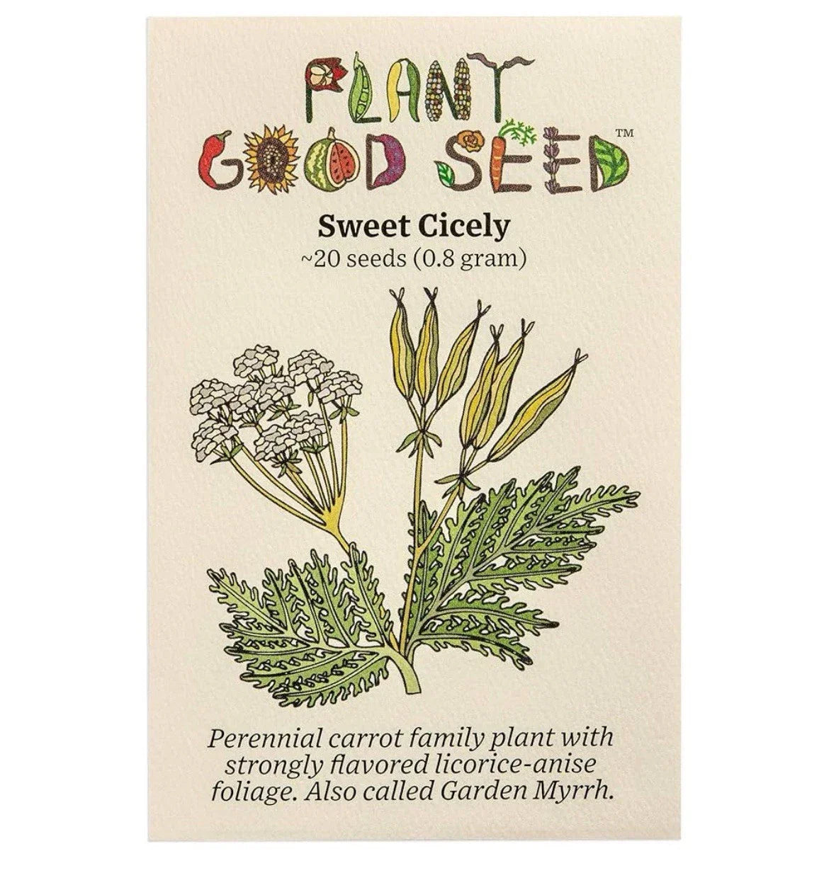 Sweet Cicely Seeds - Herb Seeds Pack - Myrrhis odorata - Aromatic Culinary Herb - Organic USA Grown
