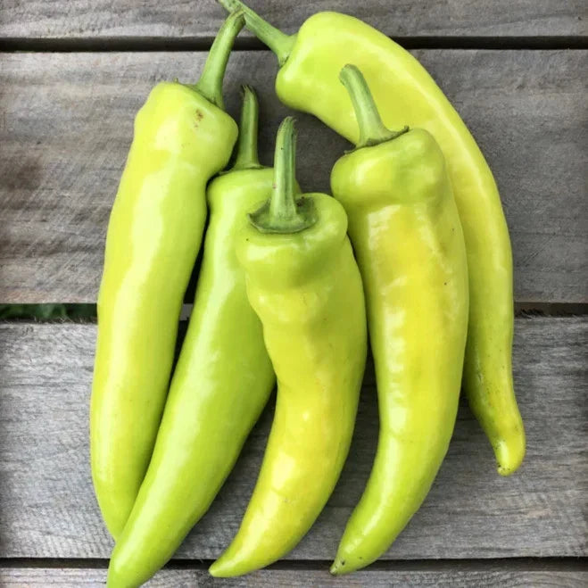 Hungarian Hot Wax Pepper Seeds - Capsicum annuum, 100+ Seeds, Spicy Yellow Peppers, 15,000 Scoville Units, Garden, Container Planting