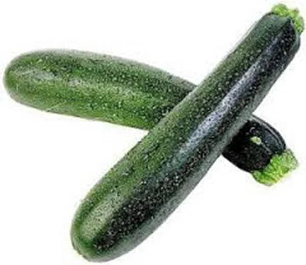 Squash Seeds Mix Garden Collection – Heirloom Non-GMO Vegetable Seeds for Home Gardening, Includes Zucchini, Butternut, Acorn, Spaghetti & Patty Pan