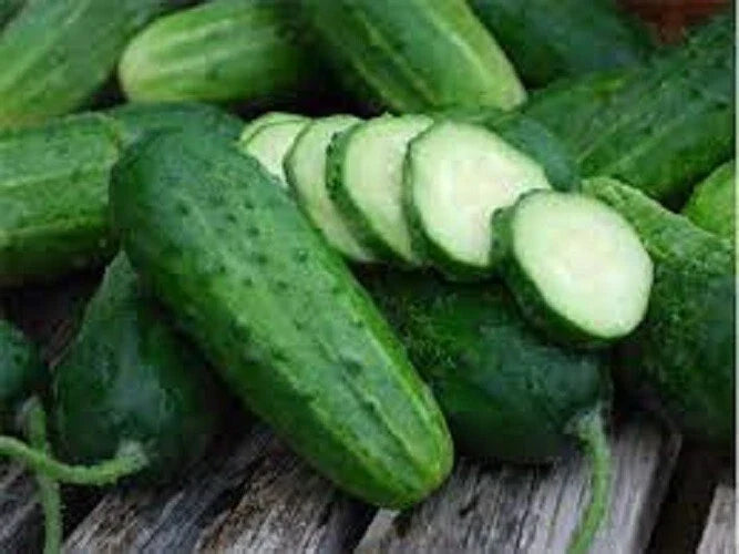 Premium Heirloom Boston Pickling Cucumber Seeds for Home Garden, Cucumis sativus, Non-GMO, High Germination Rate