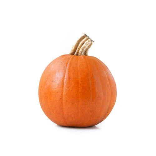 Sugar Pie Pumpkin Seeds - 25+ Pack for Gardening, Cucurbita pepo, Heirloom, Non-GMO, Fall Harvest, Baking & Decoration