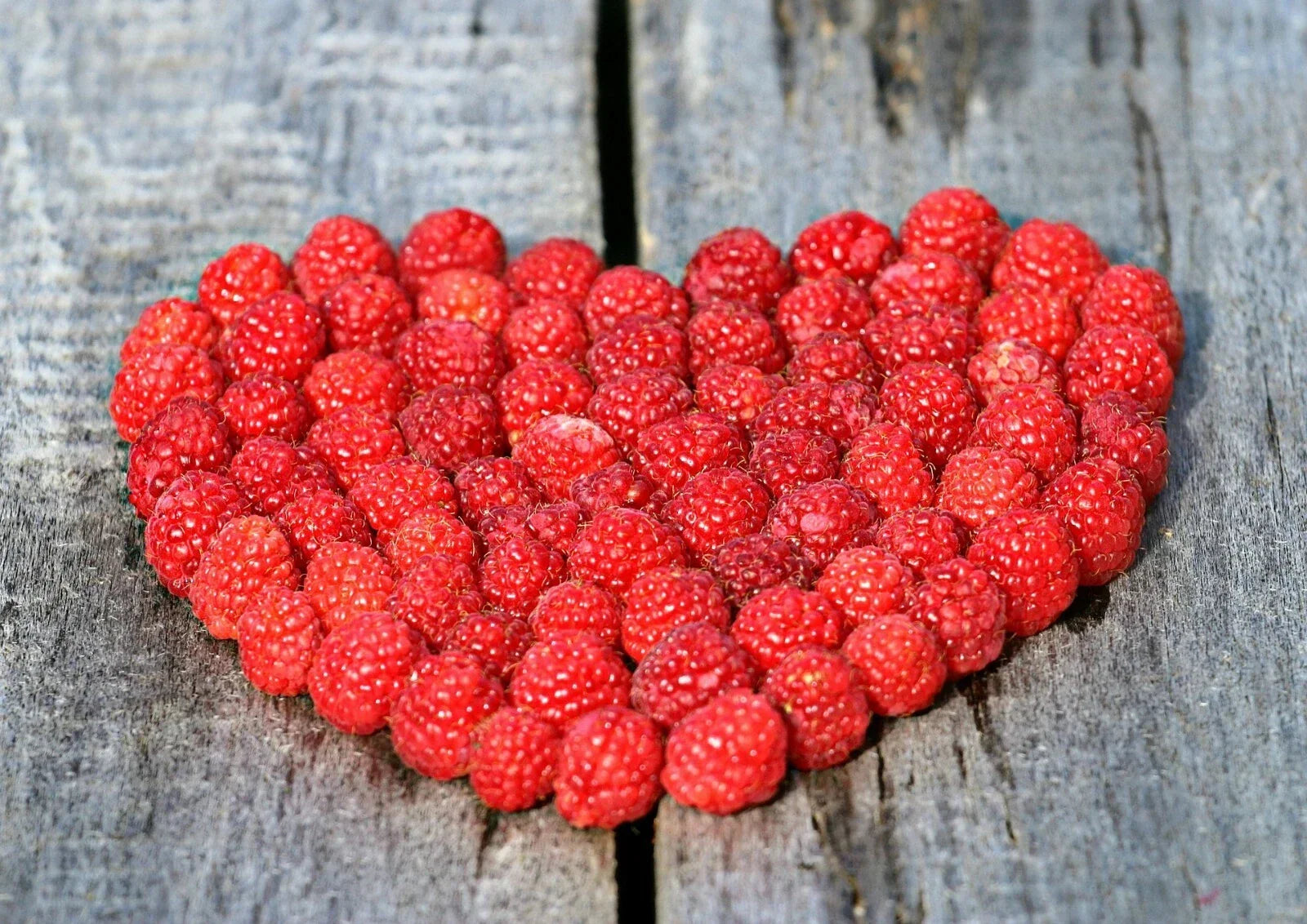 Red Raspberry Seeds Pack – 50+ Non-GMO Rubus idaeus for Home Garden, Pollinator Attractant, Juicy Berries