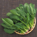 Big Round Leaf Spinach Seeds - Giant Noble Spinach Vegetable Seeds - Over 200 Non-GMO Seeds for Home Garden, USA Grown