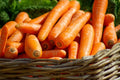 Carrot Seeds - Brilliance Variety - Beta Carotene & Vitamin A - Non-GMO Seed for Home Garden