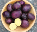 Harvest Moon Baby Seed Potatoes - Organic Heirloom Solanum tuberosum for Small Gardens & Containers
