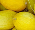 Crenshaw Melon Seeds - 50+ Cucumis melo Summer Garden Vining Fruit for Home Orchard