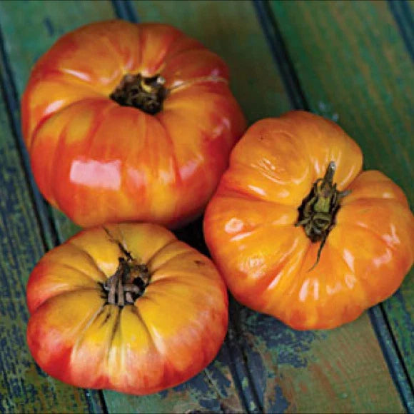 Big Rainbow Tomato Seeds - Heirloom Beefsteak Variety, Multicolored, Solanum lycopersicum, 20/100/200 Seeds