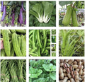 Asian Vegetable Seeds Packets – Non-GMO, Edible Garden, Culinary Herbs, Homegrown Food, Variety Pack