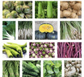 Asian Vegetable Seeds Packets – 20 Varieties Non-GMO for Home Gardens & Urban Farming