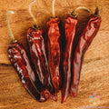 Mulato Chile Sweet Pepper Seeds Pack of 25+ | Non-GMO Capsicum annuum for Home Garden & Container Planting