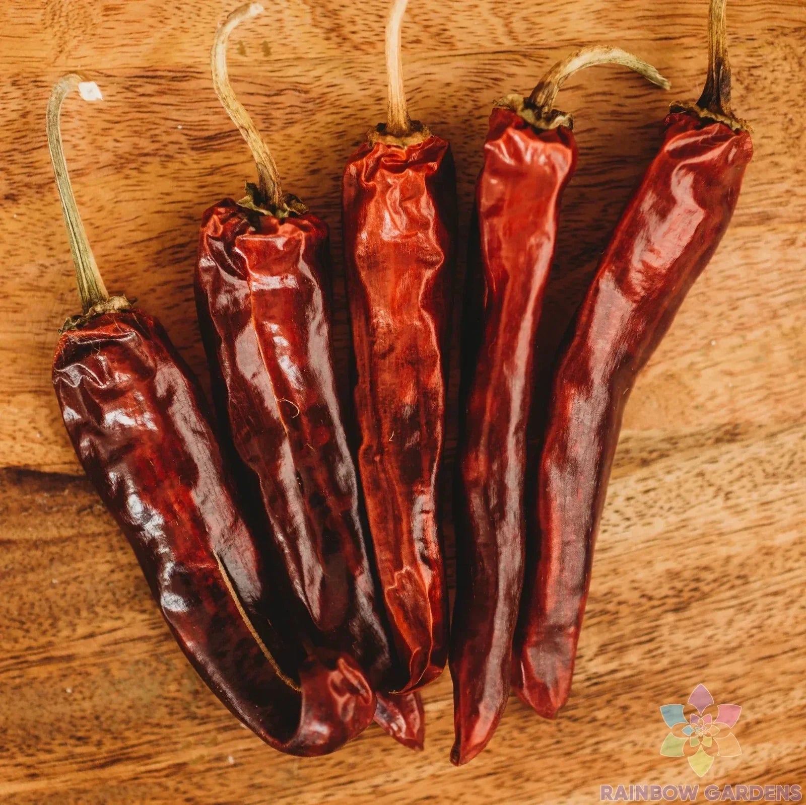 Mulato Chile Sweet Pepper Seeds Pack of 25+ | Non-GMO Capsicum annuum for Home Garden & Container Planting