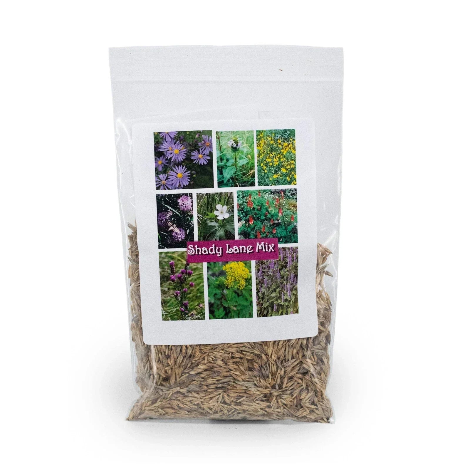 Native Wildflower Seed Mix, 2.88 oz, Shady Lane Variety, Prairie Legacy Inc. - Shade-Tolerant, Drought-Resistant, Pollinator-Friendly Seeds