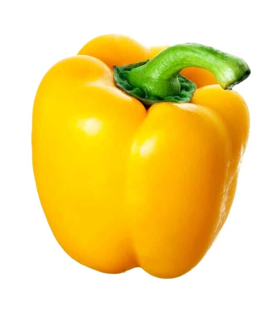 California Wonder Yellow Pepper Seeds – Heirloom Non-GMO Capsicum annuum, 25 Seeds for Spring Garden, Sweet, Crisp, Full Sun