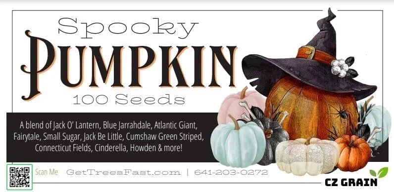 Spooky Blend Pumpkin Seeds - 100 Mixed Heirloom Cucurbita pepo for Halloween Carving & Gardening