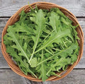 Arugula Seeds for Planting - 50 Count, Fast Growing, High Yield, Eruca sativa, Leafy Greens, Cool-Season Crop