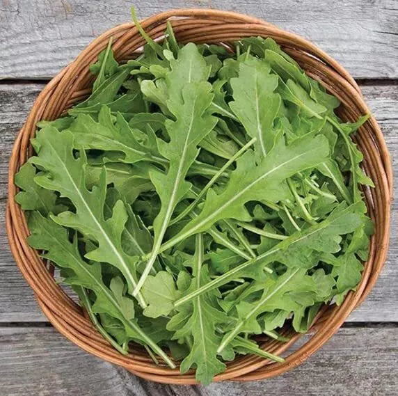 Arugula Seeds for Planting - 50 Count, Fast Growing, High Yield, Eruca sativa, Leafy Greens, Cool-Season Crop