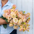 Pelleted Lisianthus Seeds - Voyage 2 Champagne Variety for Planting - Eustoma grandiflorum