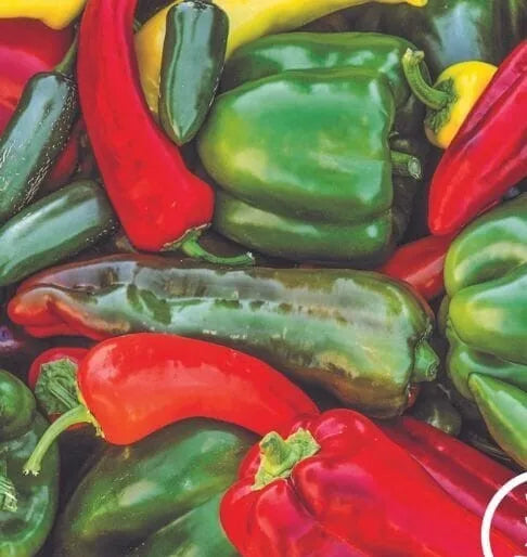 Sweet & Spicy Pepper Seeds Mix – 25 Heirloom & Hybrid Capsicum Annuum & Chinense for Home Garden
