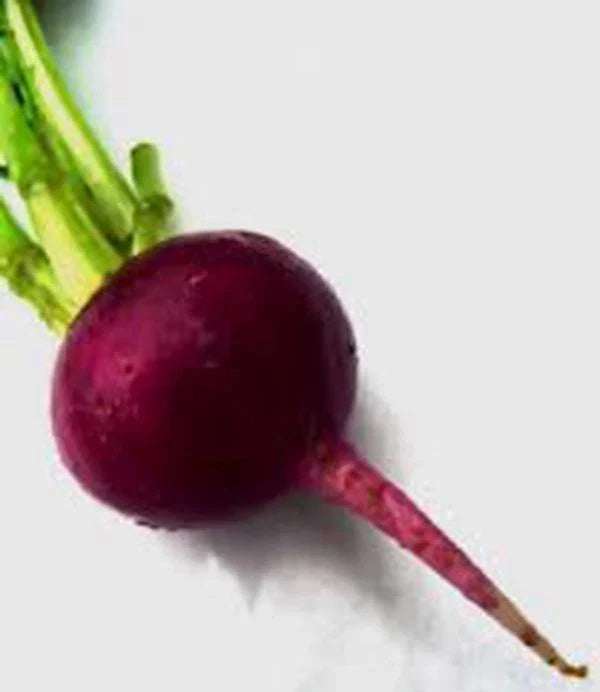 Beet Seeds - 25+ Early Wonder Heirloom Non-GMO Beta vulgaris for Home Garden, Edible Roots, Sweet and Nutritious